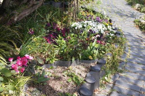 e0181373_22005499.jpg