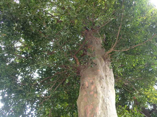 c0286574_1820268.jpg