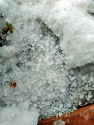 f0083977_15242550.jpg