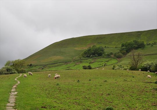 b0346378_13392784.jpg