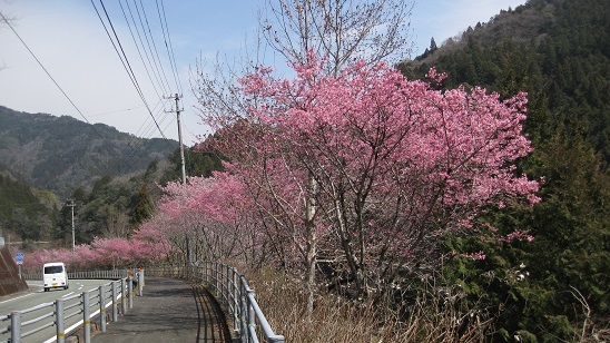 e0237580_17550011.jpg
