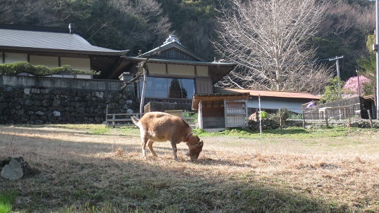 e0237580_17562292.jpg