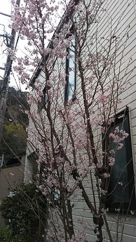 f0228680_13084958.jpg