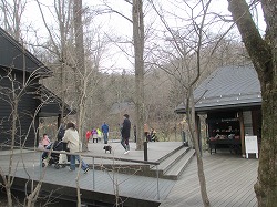 a0142083_8484716.jpg