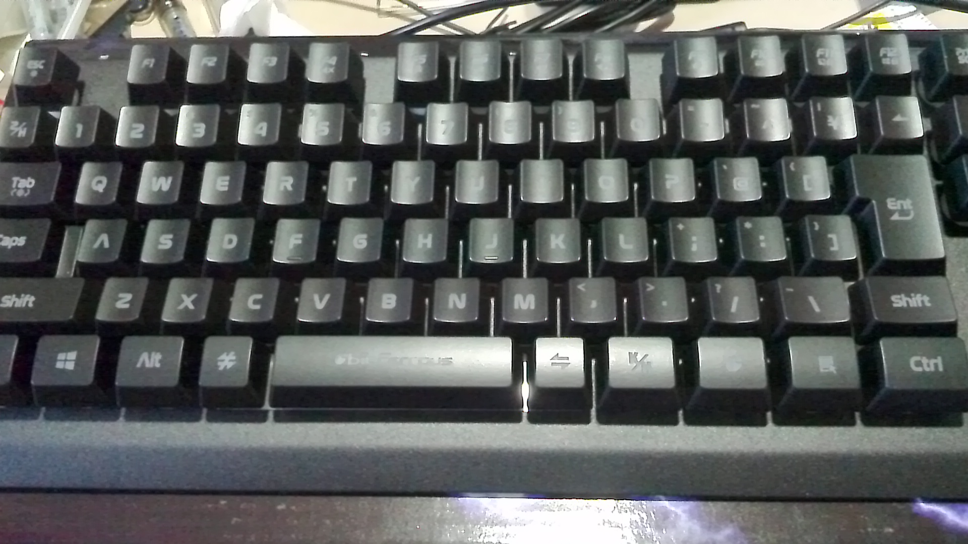 c0030291_1759978.jpg