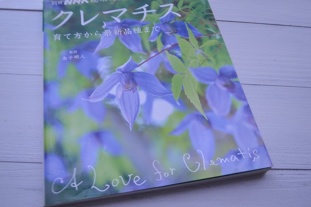 もうすぐ4月です_a0233896_15452971.jpg
