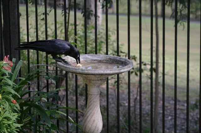 f0346196_15210134.jpg