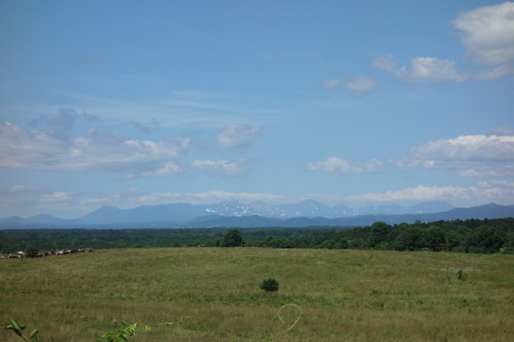 f0174198_20191345.jpg