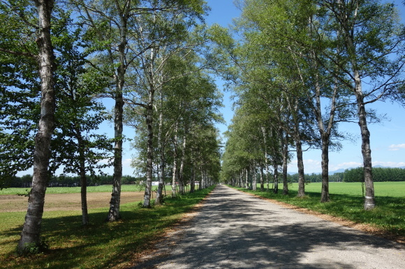 f0174198_20213477.jpg