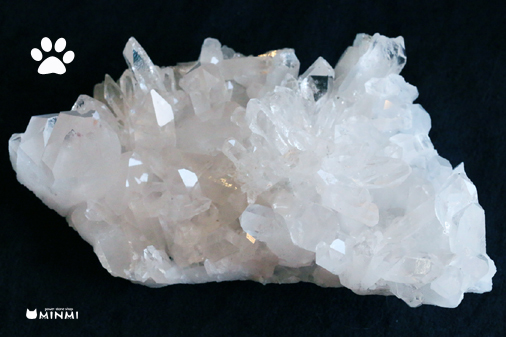 新入荷 極上ブラジルクラスター 310g_c0140599_14504658.jpg