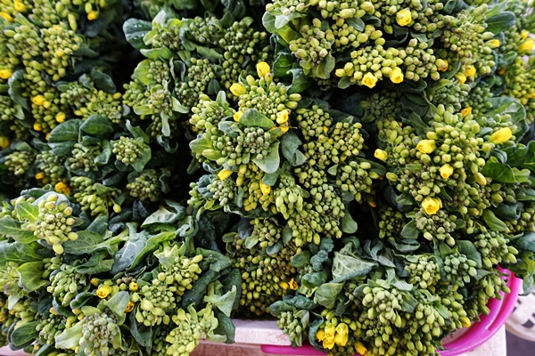e0277800_11395141.jpg