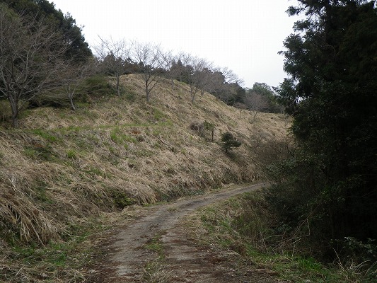 f0187402_20595045.jpg