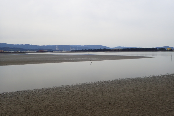 平井　研さん　和歌山環境学習　くらべてみよう、尼崎と和歌山の海 _c0367107_13173224.jpg