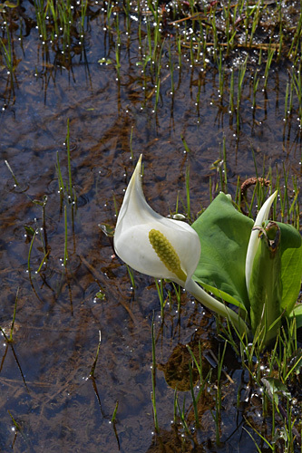 a0278809_17022661.jpg