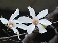c0077412_1020127.jpg