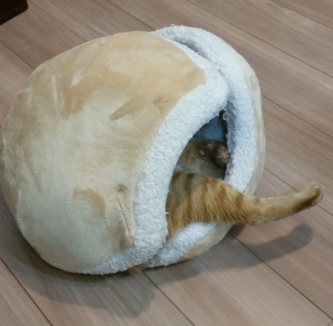 e0144012_02081236.jpeg