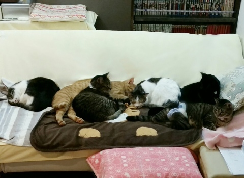 e0144012_02140995.jpeg