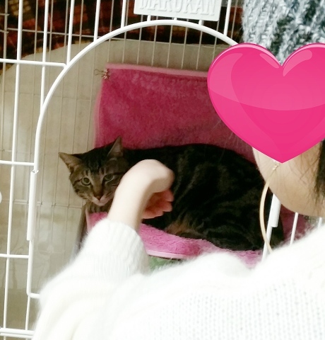 e0144012_02531200.jpeg