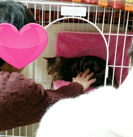 e0144012_02542074.jpeg