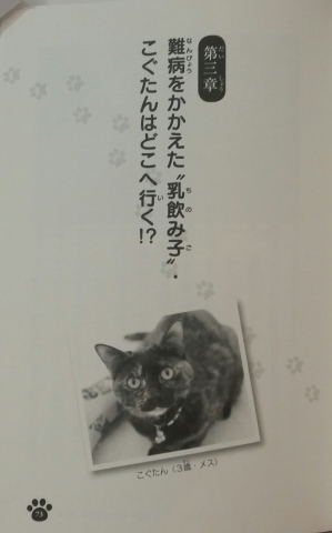 e0144012_21312610.jpeg