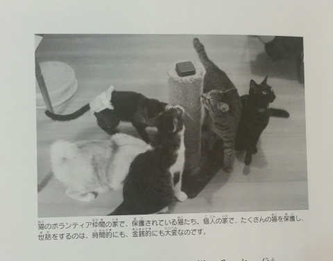 e0144012_21321456.jpeg
