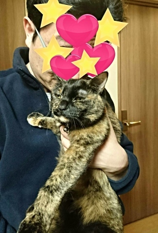 e0144012_22080495.jpeg