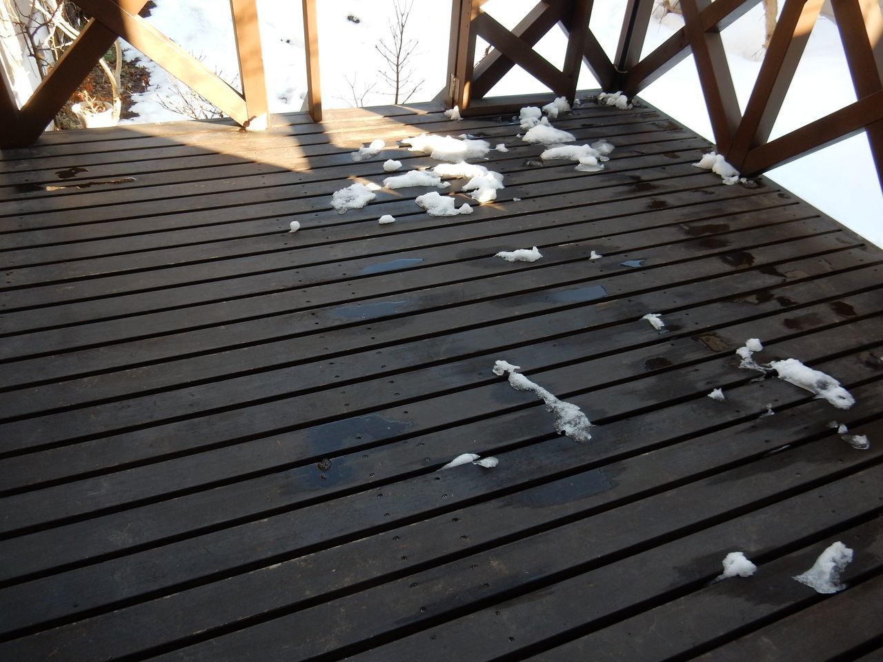 今日は雪が解ける日_c0025115_20561225.jpg