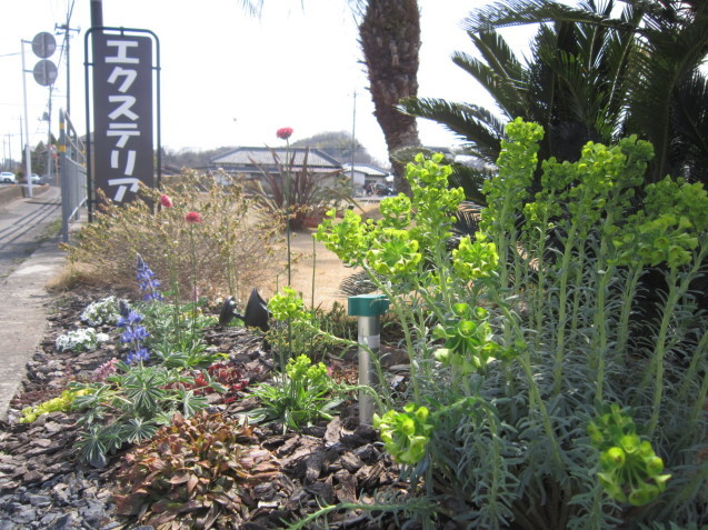 太田市・足利市エクステリア工事のお店 Garden flow \"春の植え変え”_e0361918_17413758.jpg