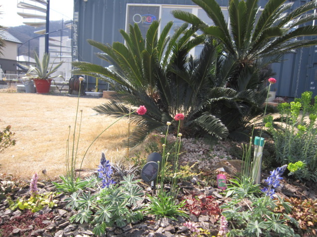 太田市・足利市エクステリア工事のお店 Garden flow \"春の植え変え”_e0361918_17415324.jpg