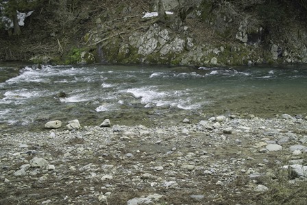 薄☀・気温1.5℃・・・・朽木小川・気象台より_c0044819_8391254.jpg