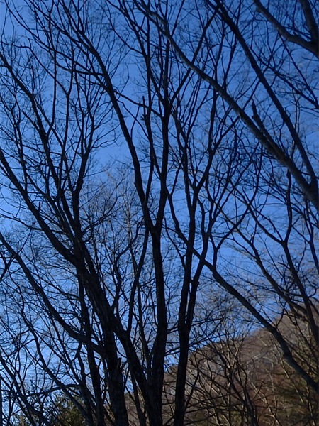 c0346119_01265366.jpg
