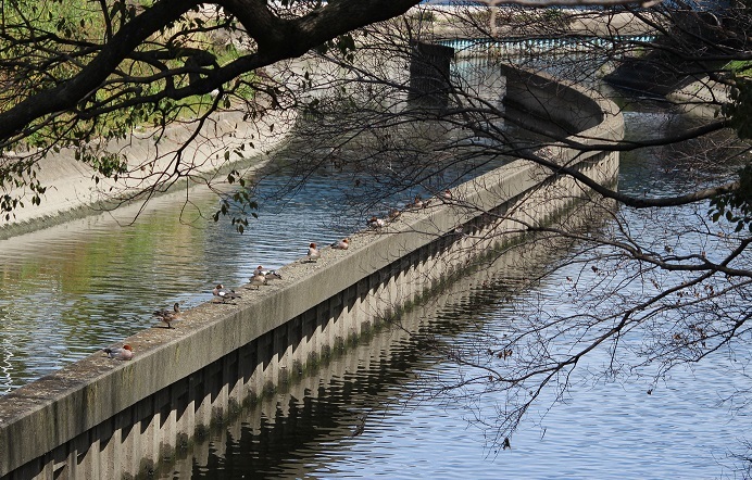c0280322_15323364.jpg