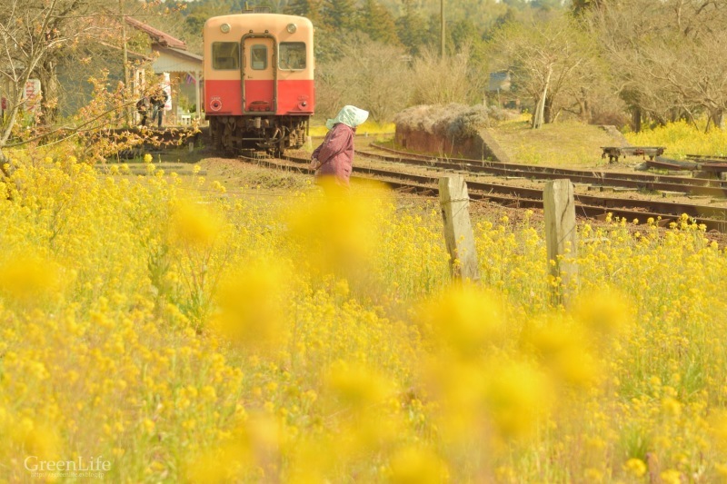 春の小湊鉄道遠足♪_f0321522_18165212.jpg