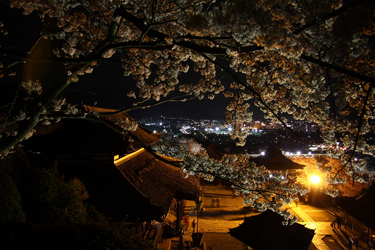 大津の桜 －三井寺・春のライトアップ（後編）－_b0169330_17534786.jpg