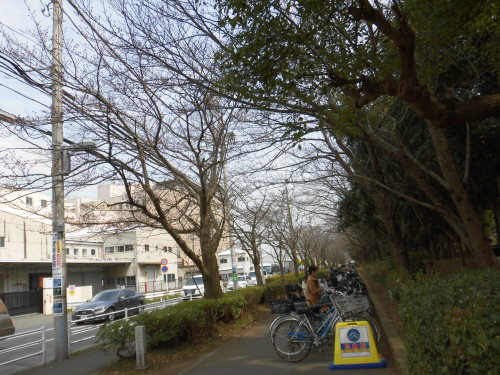 b0137932_15200107.jpg