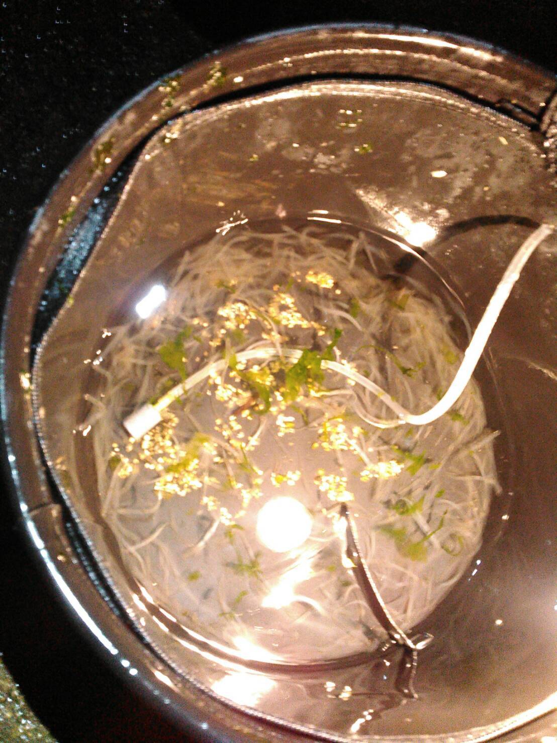 a0272033_00000074.jpg