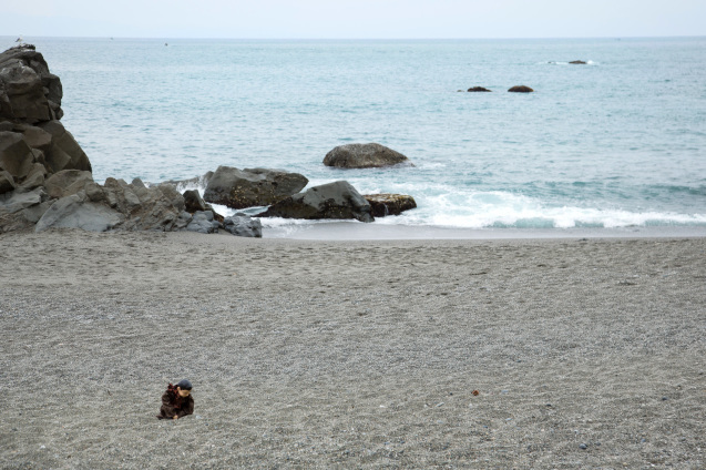 高知の旅:その2〜桂浜で龍馬アニキに会う_e0369736_21131005.jpg