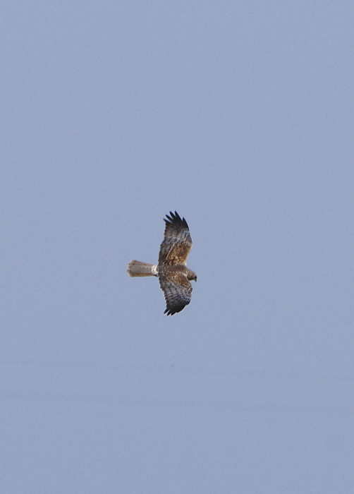 a0324247_22053859.jpg