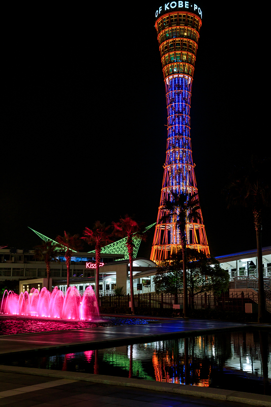 神戸夜景 北野異人館 メリケンパーク 花景色 K W C Photoblog