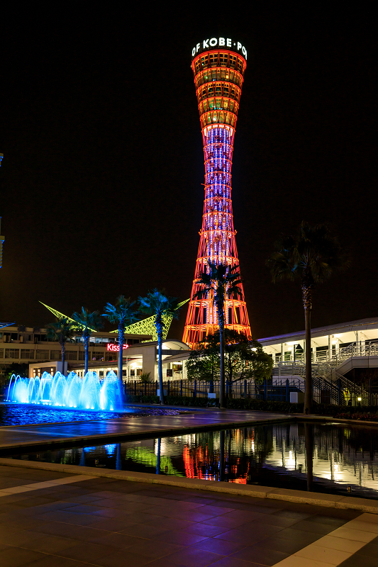 神戸夜景 北野異人館 メリケンパーク 花景色 K W C Photoblog