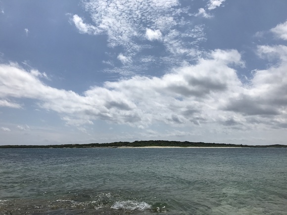 地上の楽園だと思う 2017.3.23_b0002156_1943389.jpg