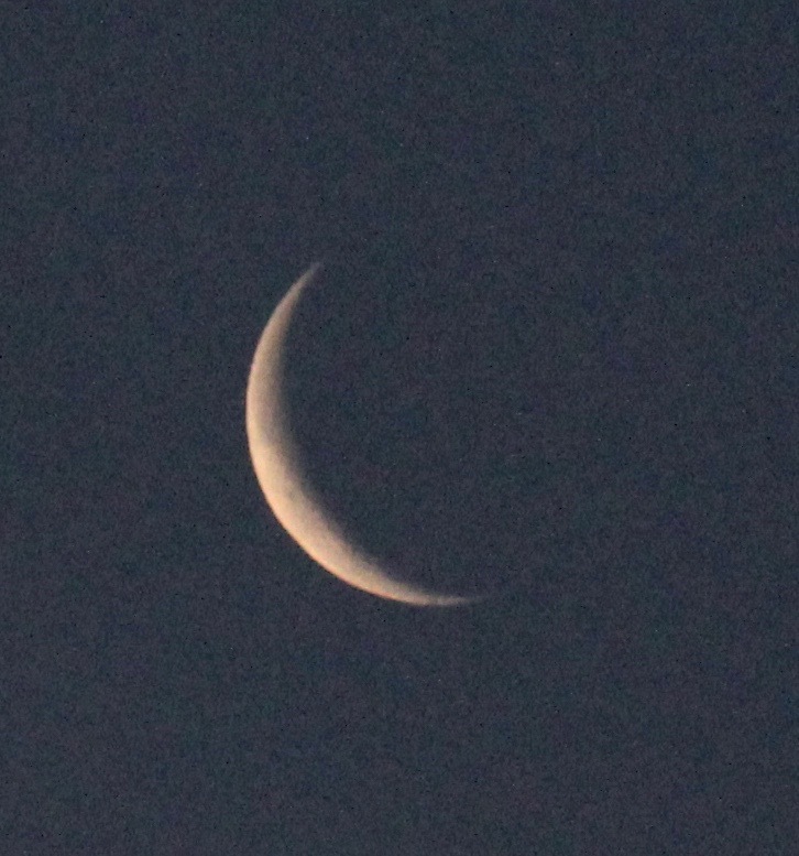 a0248459_15504114.jpg