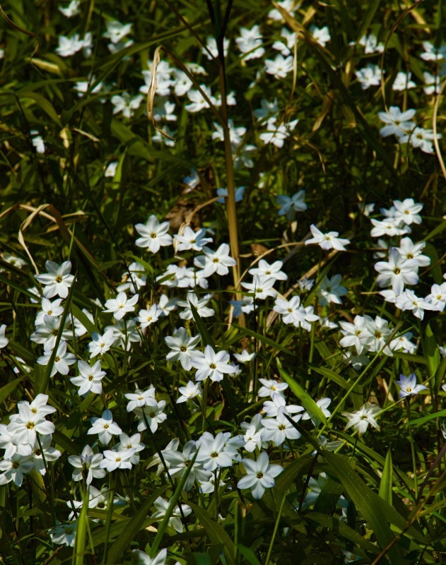 a0248459_16054789.jpg