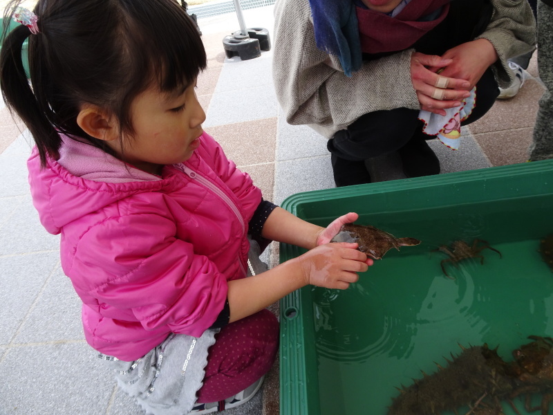 「しおさい楽習館」オープニングセレモニー　in　せんなん里海公園　_c0108460_23071497.jpg