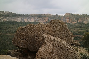 f0362263_17483956.jpg