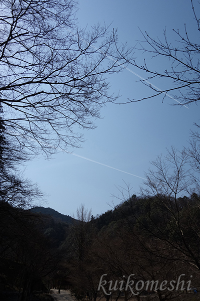 d0353472_13593934.jpg