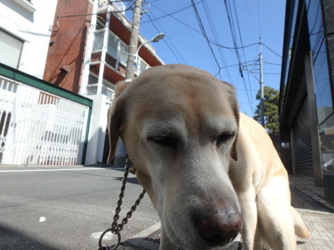 f0052277_02175803.jpg