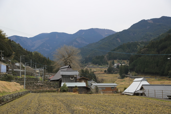 c0358784_21543714.jpg