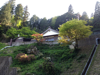 d0358085_12192375.png