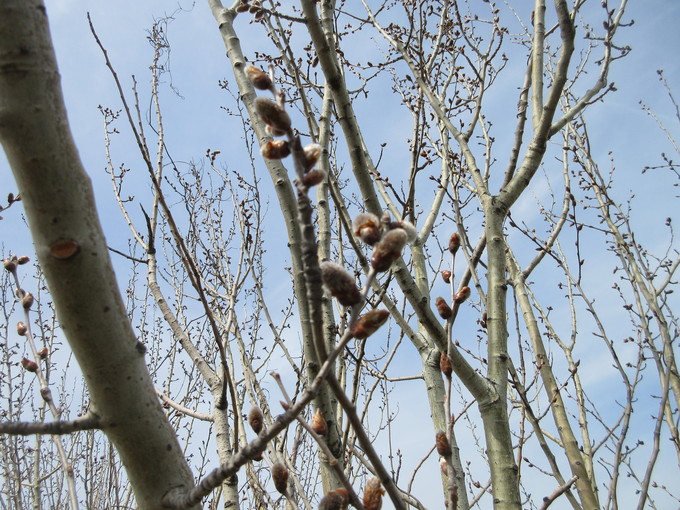 f0053885_2102080.jpg